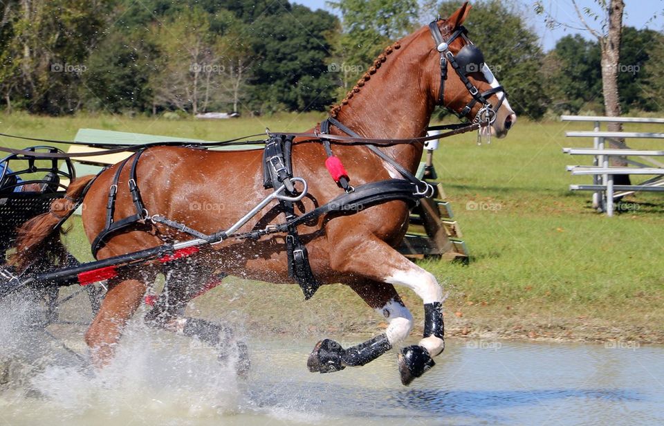 Running water course