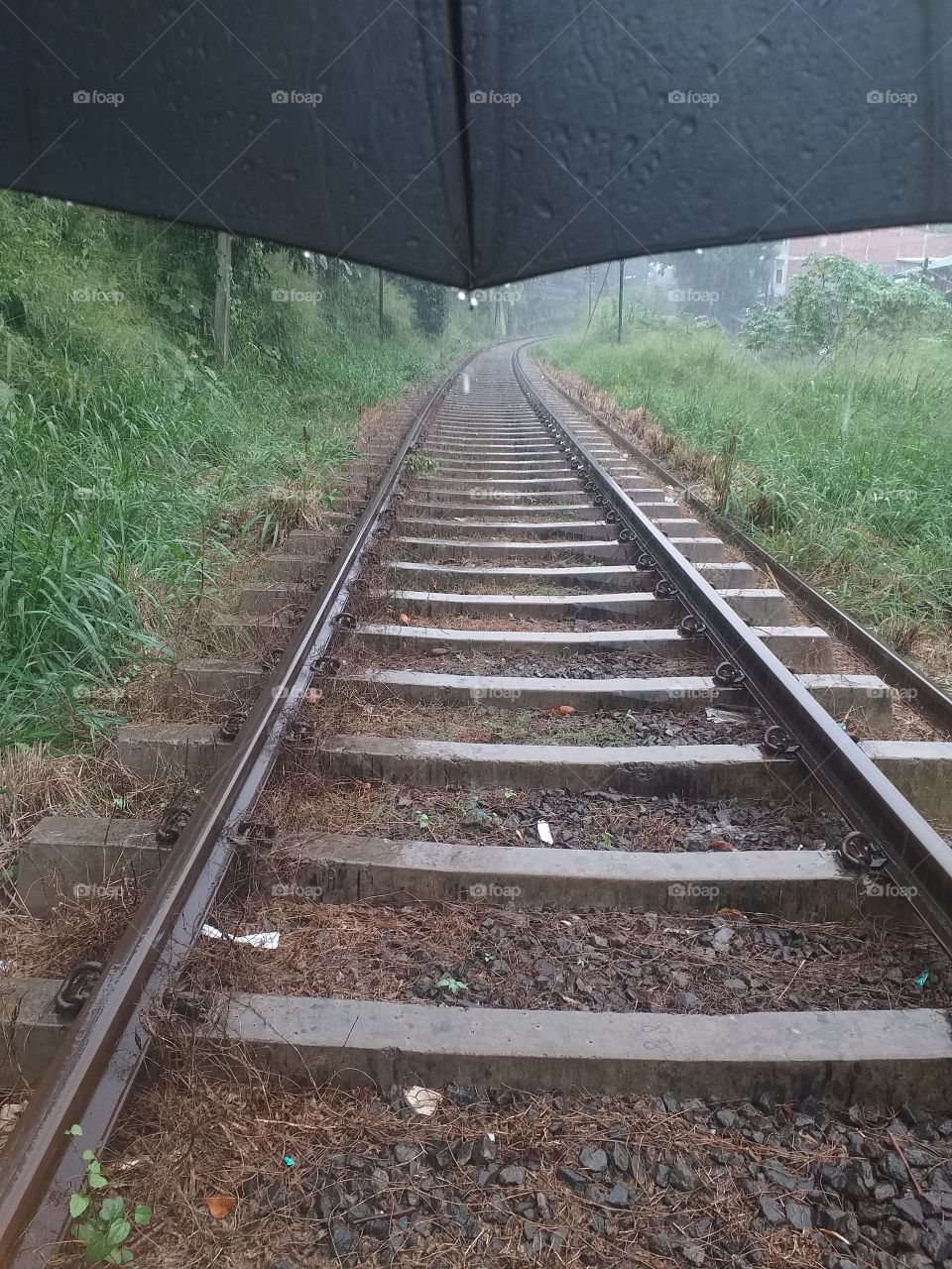 railway tracks in rainy season