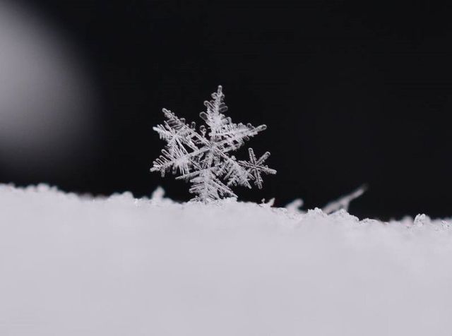 Snowflakes 