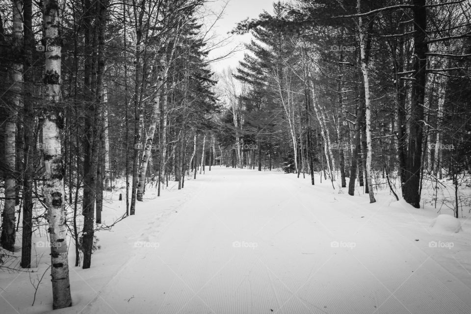 Skating trail in Muskoka.  Winter activity.  
