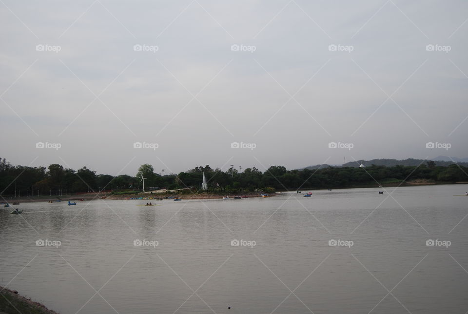 Water, Lake, River, Landscape, Tree