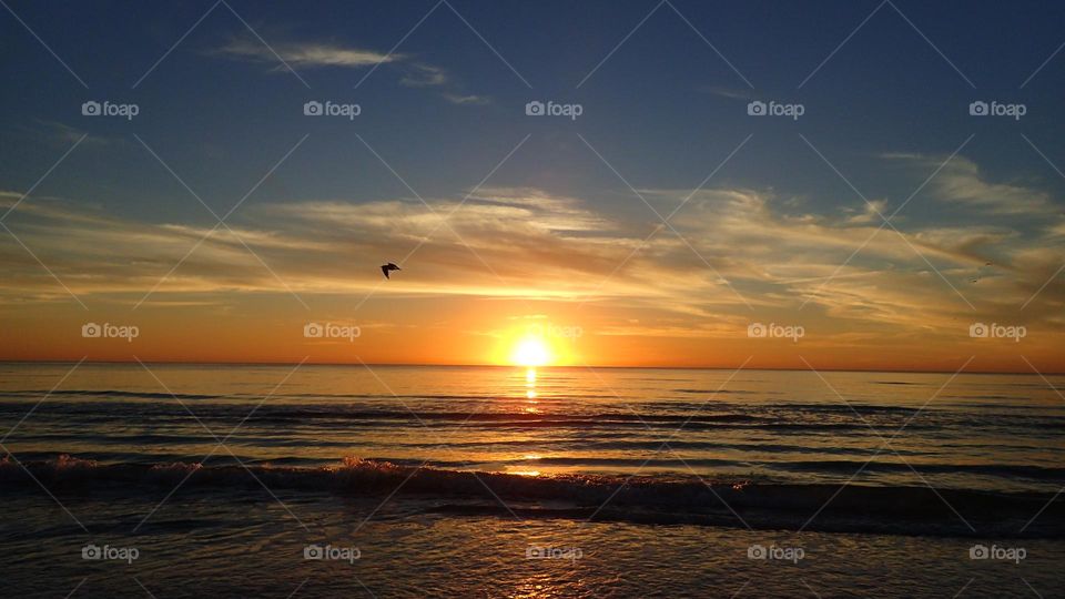 Pelican flying across a stunning fiery sunset with sunny side up sun path reflected on horizon