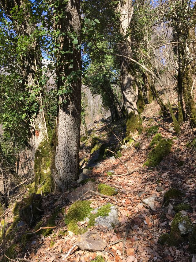 Hiking Trail