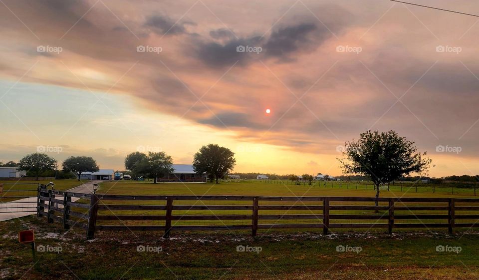 Sunset in the farm