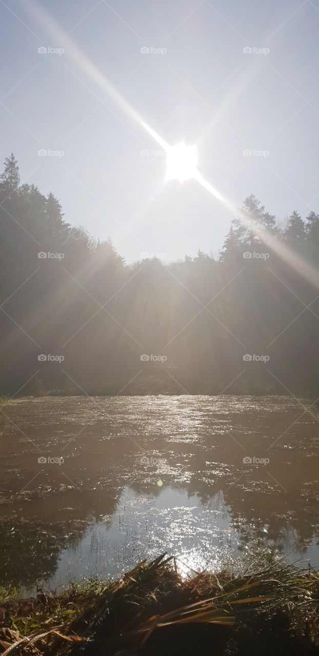 sonne und teich
