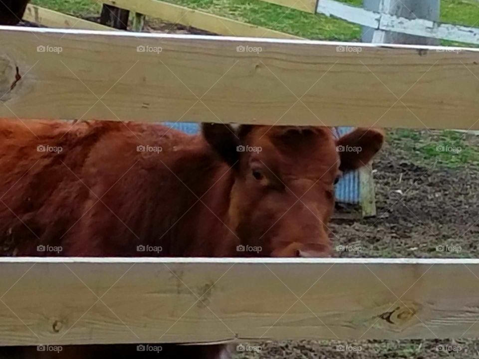 Driving the back Roads and enjoying everything around us