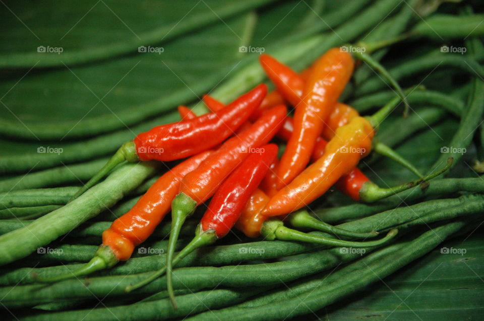 red chili with green background