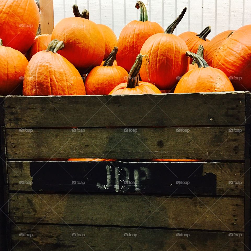 Crate of pumpkins
