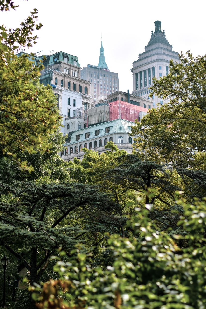 A shot from New York. Here’s when the contrast of modernity and nature collide. Although, I hope humans will pay more attention in keeping our nature healthy.