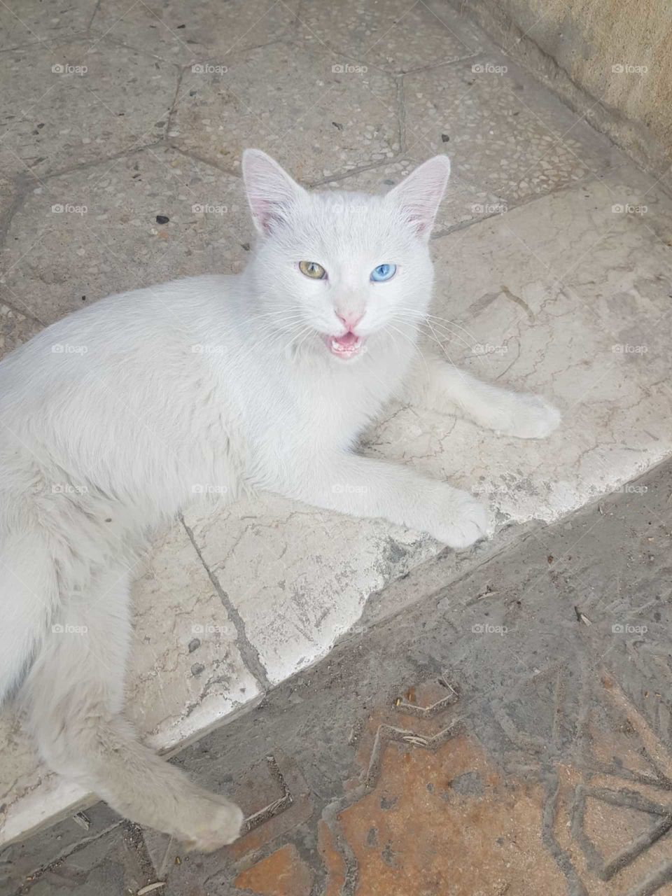 am poor. I want your support. Stop it