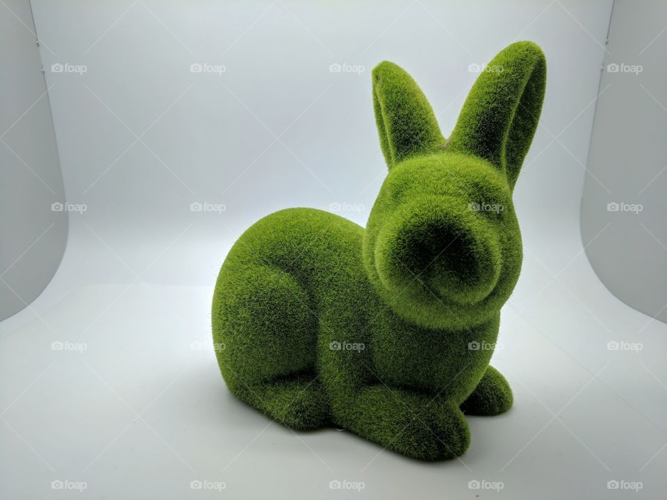 Green Rabbit