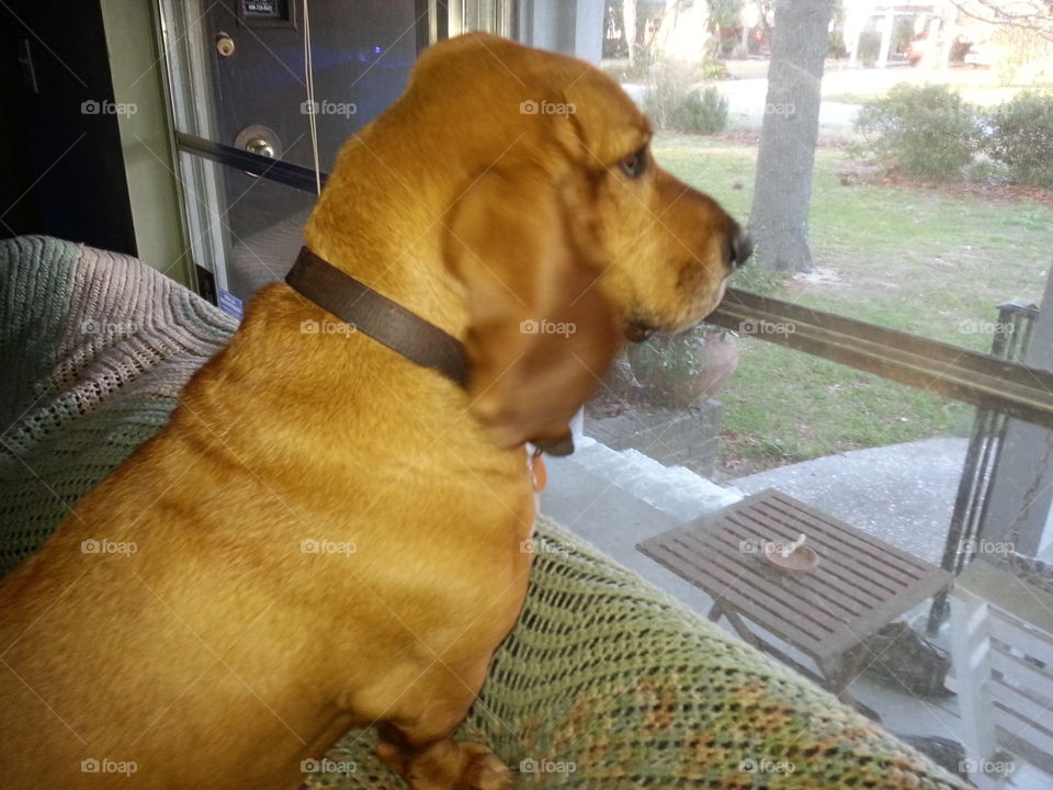 waiting for the mailman