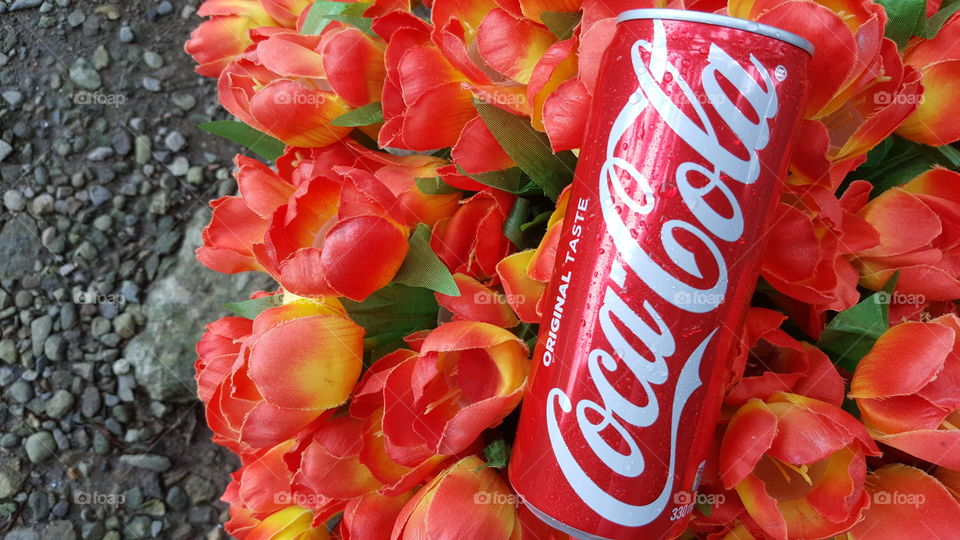 Cola flowers
