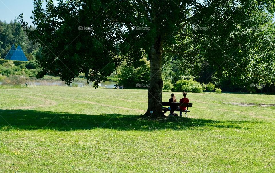 couple of lovers in the shade of a big tree on a bright sunny day