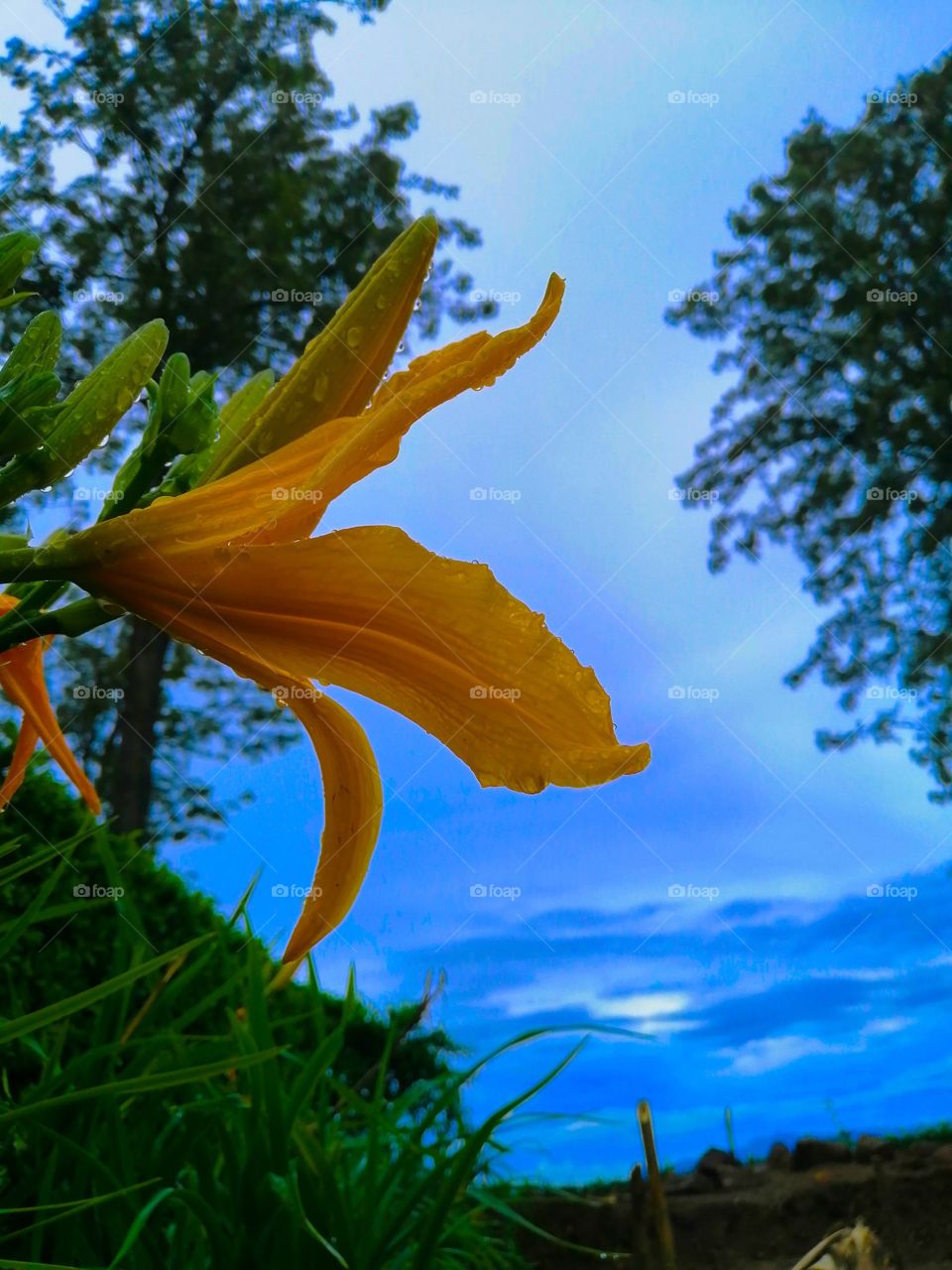 The beauty of Sri Lanka