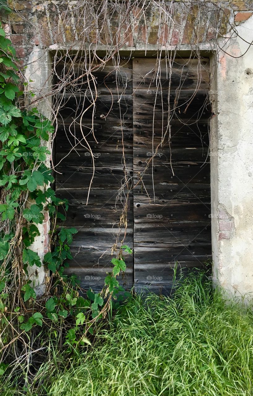Closed door of an old abandoned farmhouse among the rice fields in the territory of Novara