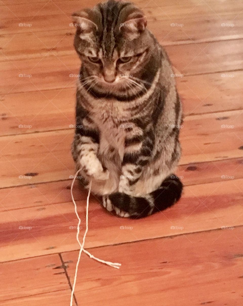 It’s Just String 