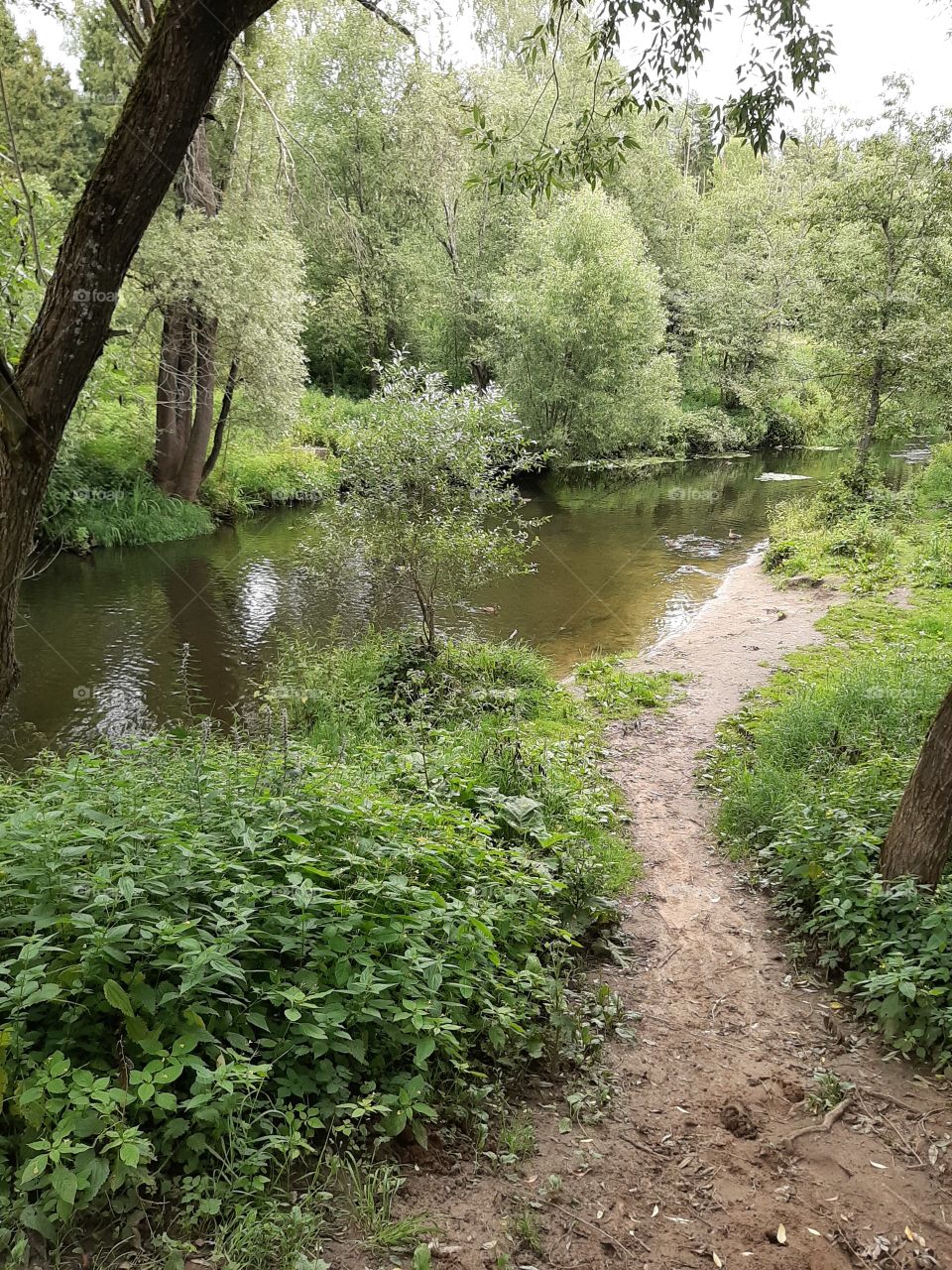 Речка  Десна!