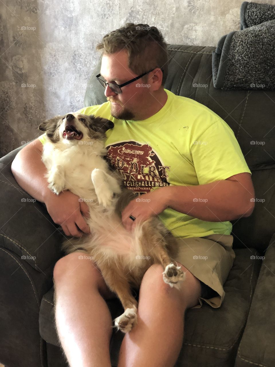 My son Mini Aussie Red Merle Love