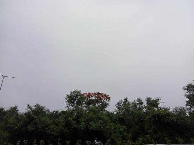 beautiful natural sight- i love nature.
