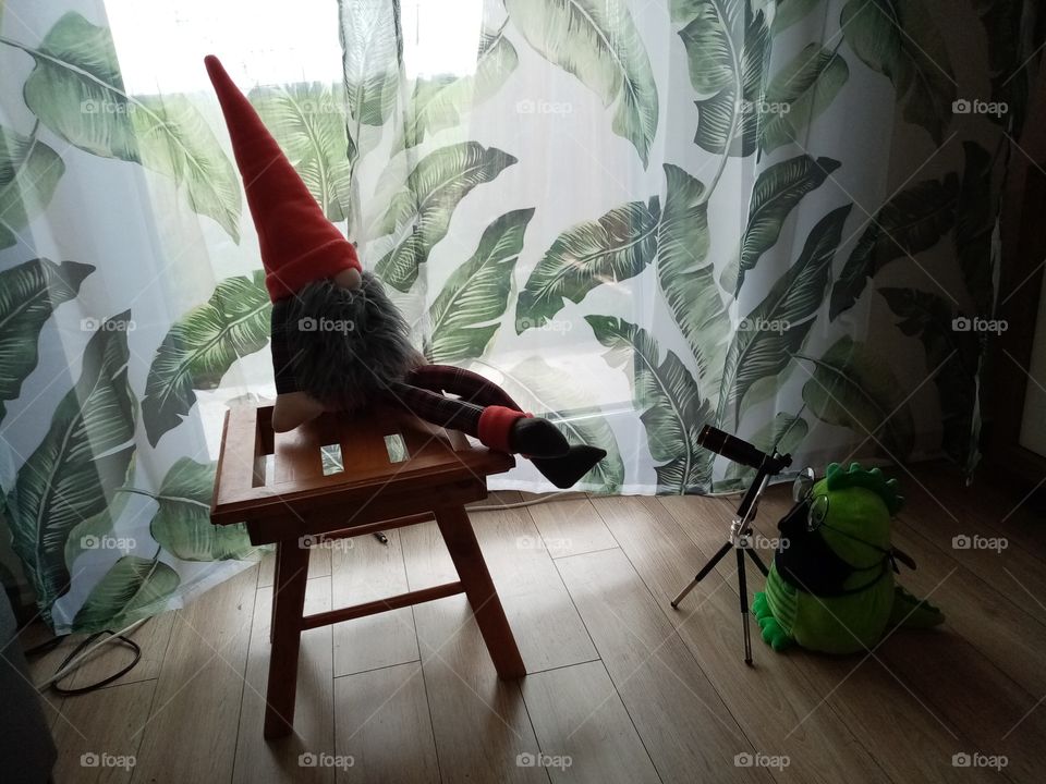 Fame in pandemy time