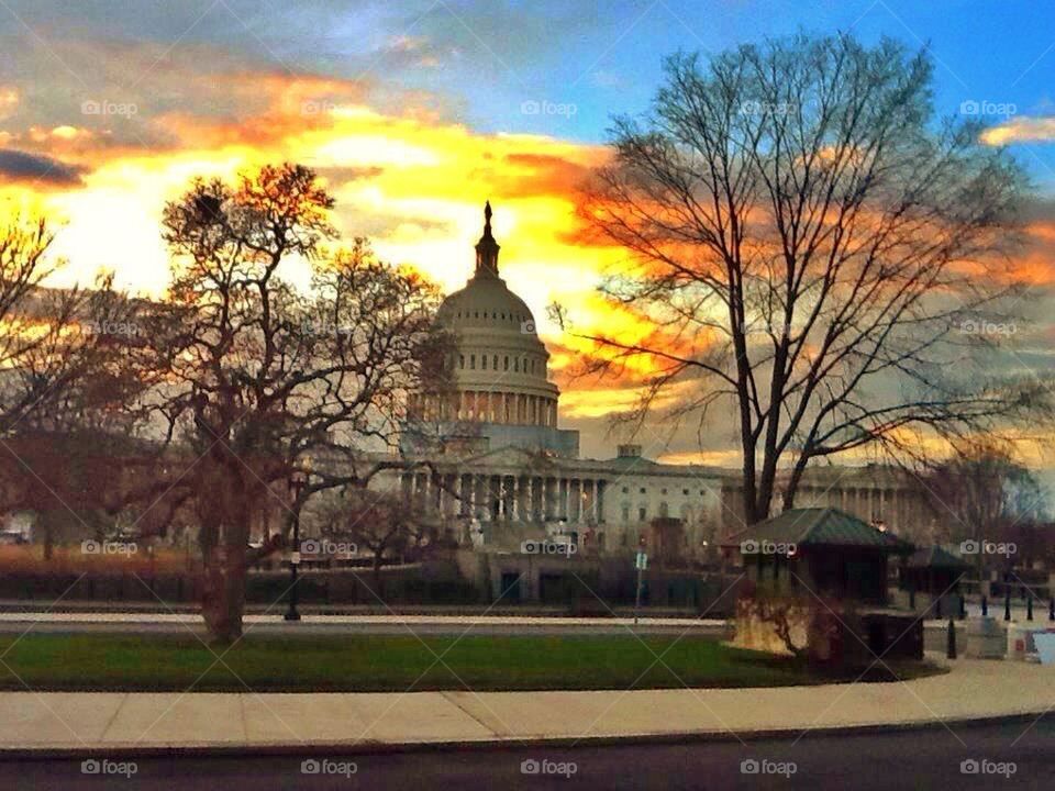 Capitol at Sunset