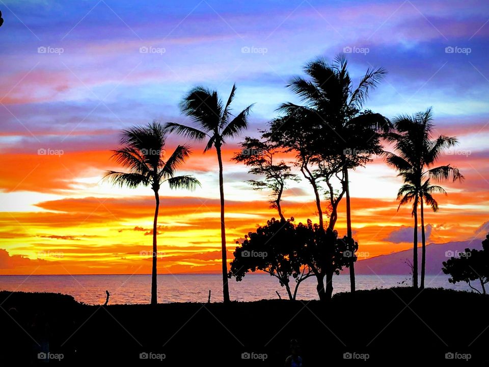 Hawaiian Sunset 