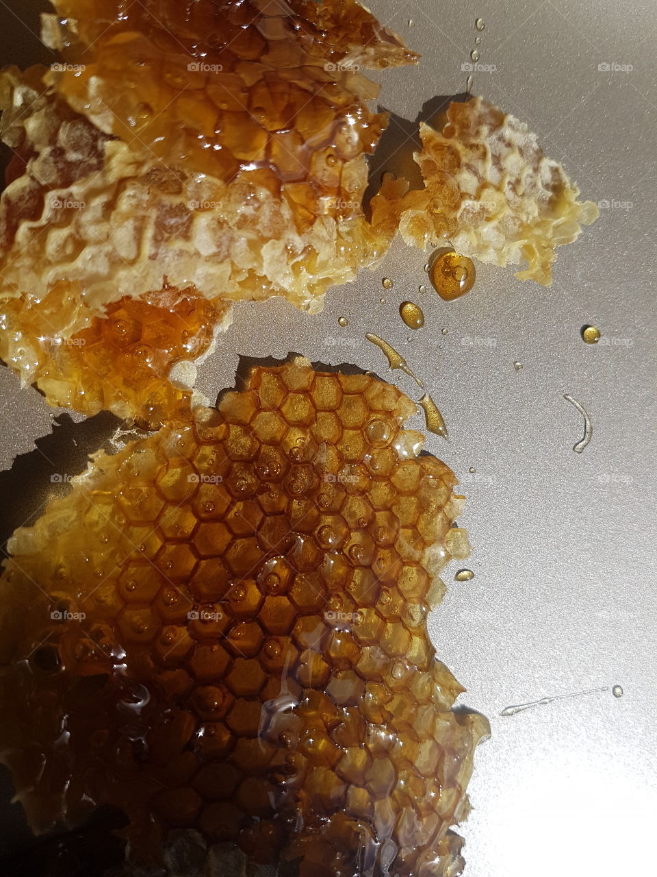 Honey Comb