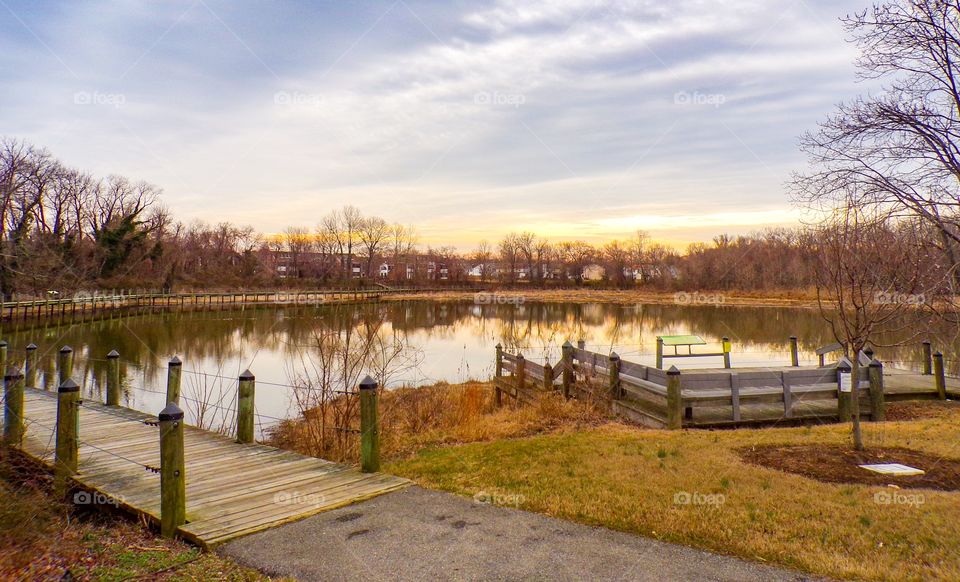 Peaceful pond