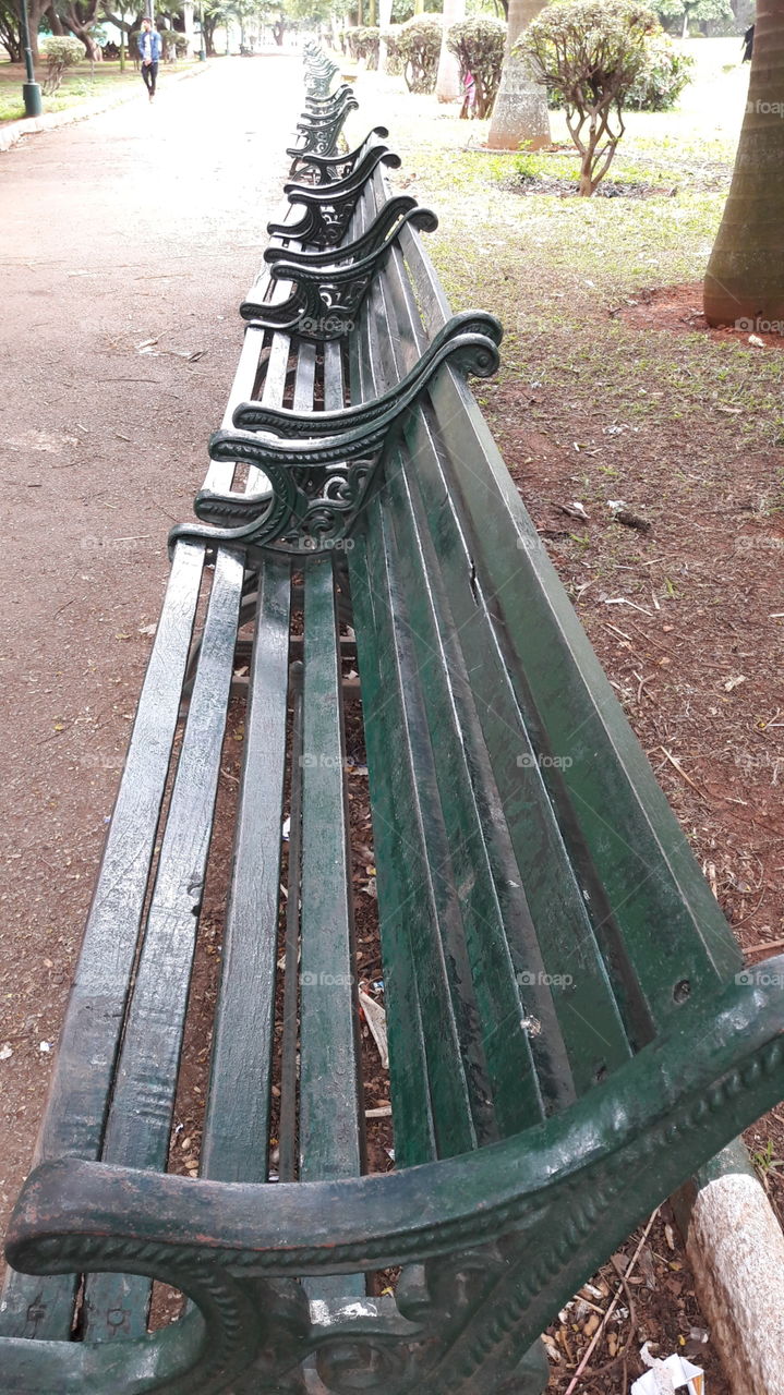 bench
