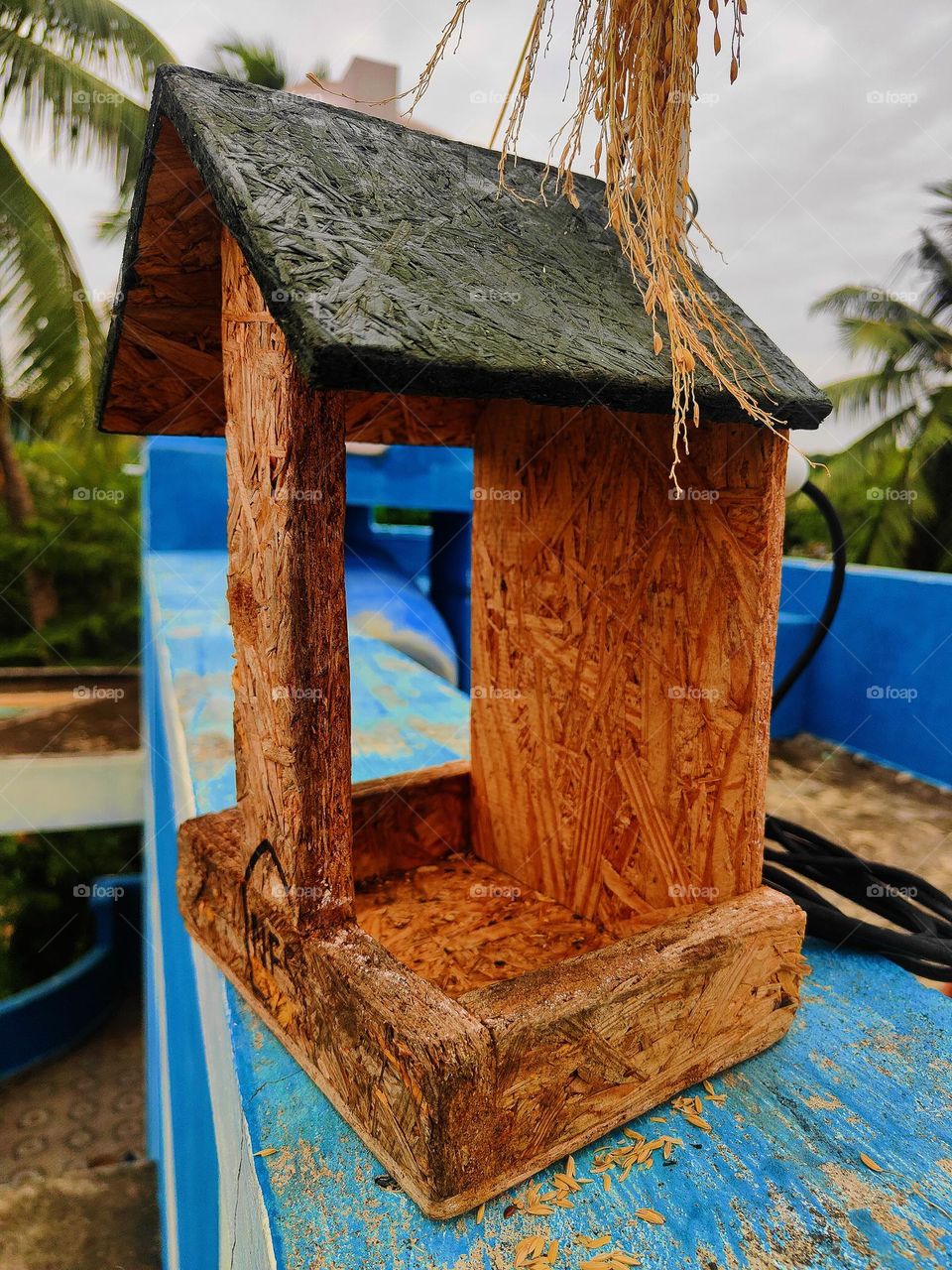 Empty feeder in wrong place