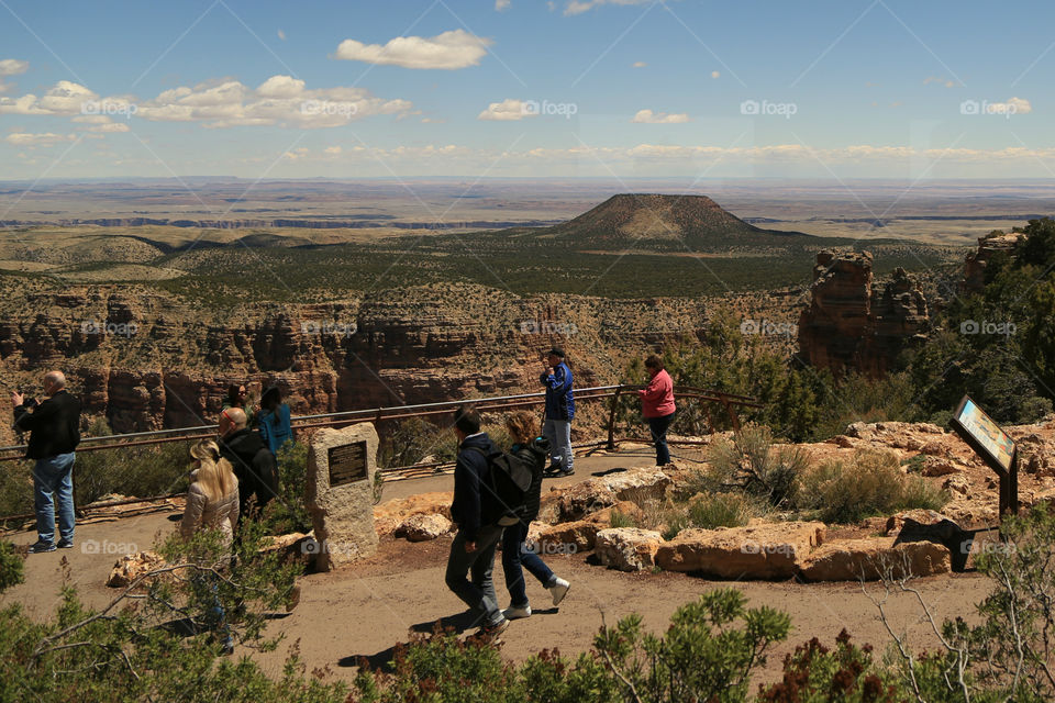 The Grand Canyon