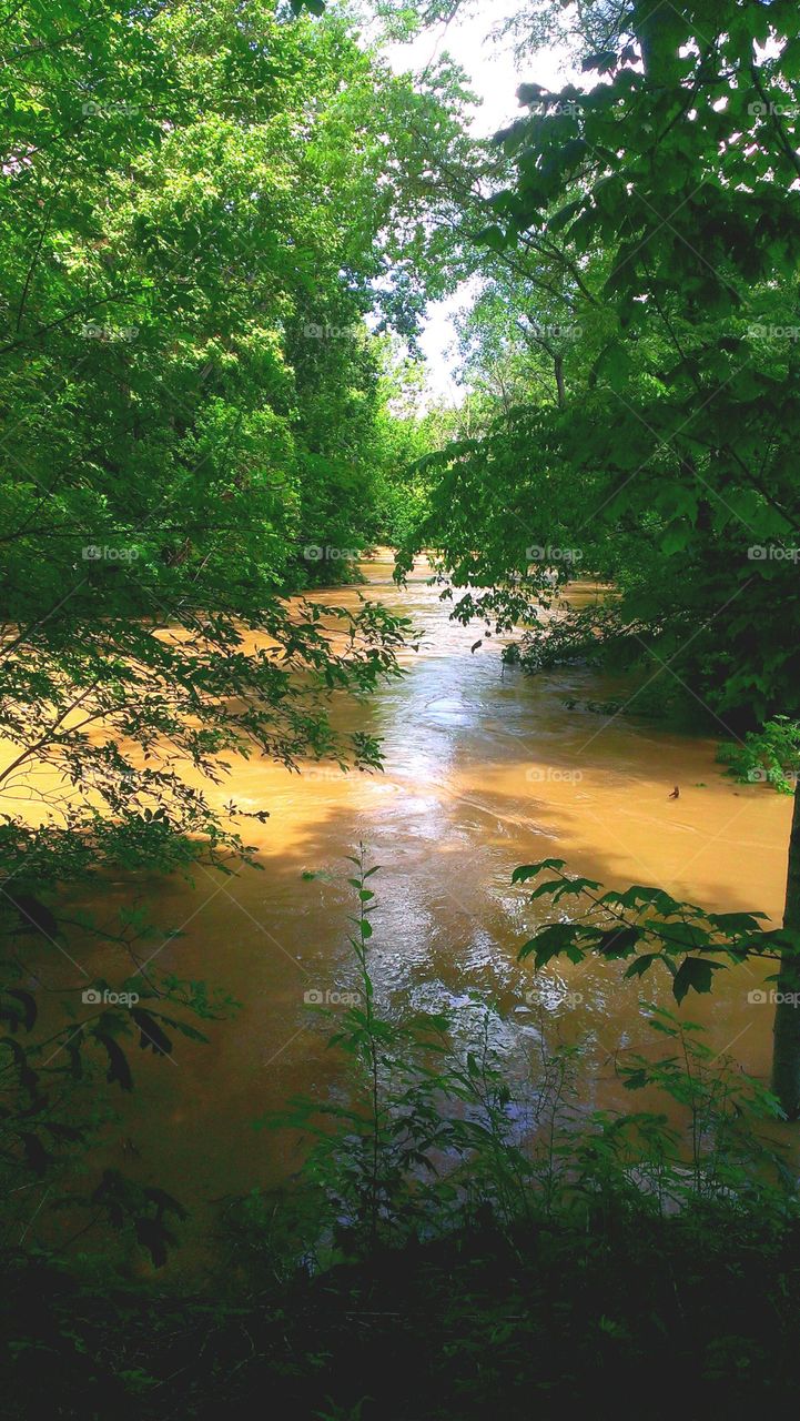 Flooded Banks of the Auglaize River