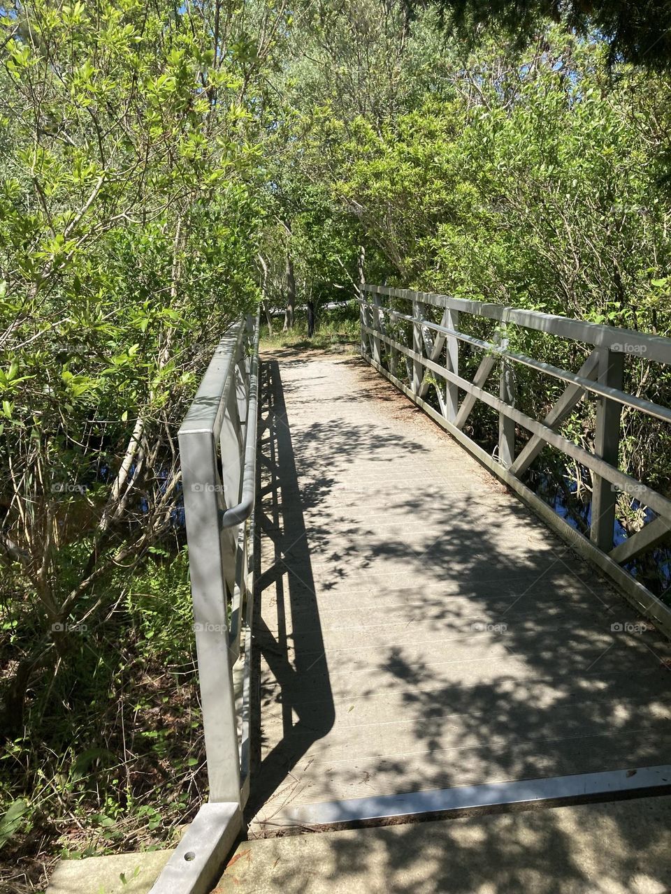 Bridge in nature park