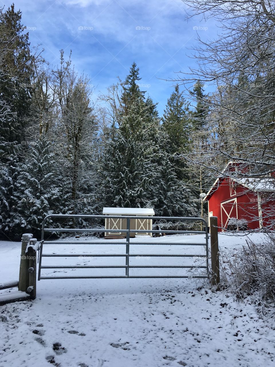 Barn , sun and snow. 