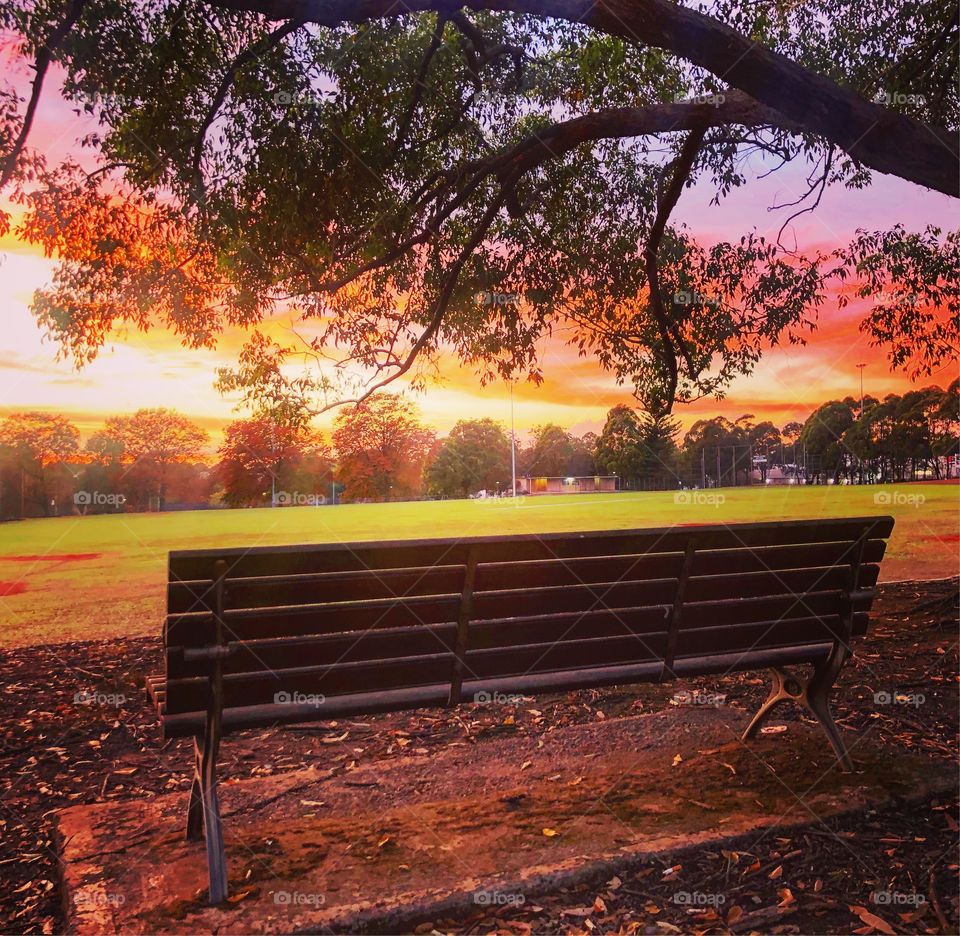 Sunrise at the park from the park bench 