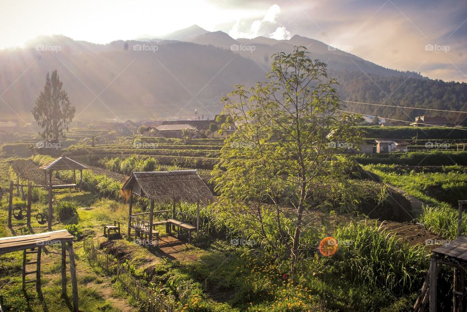 desa cuntel kopeng kabupaten Semarang.
suasana Indah nyaman dan Sejuk serta khidupan masyarakat nya yang tergantung pada pertanian menjadi daya tarik tersendiri