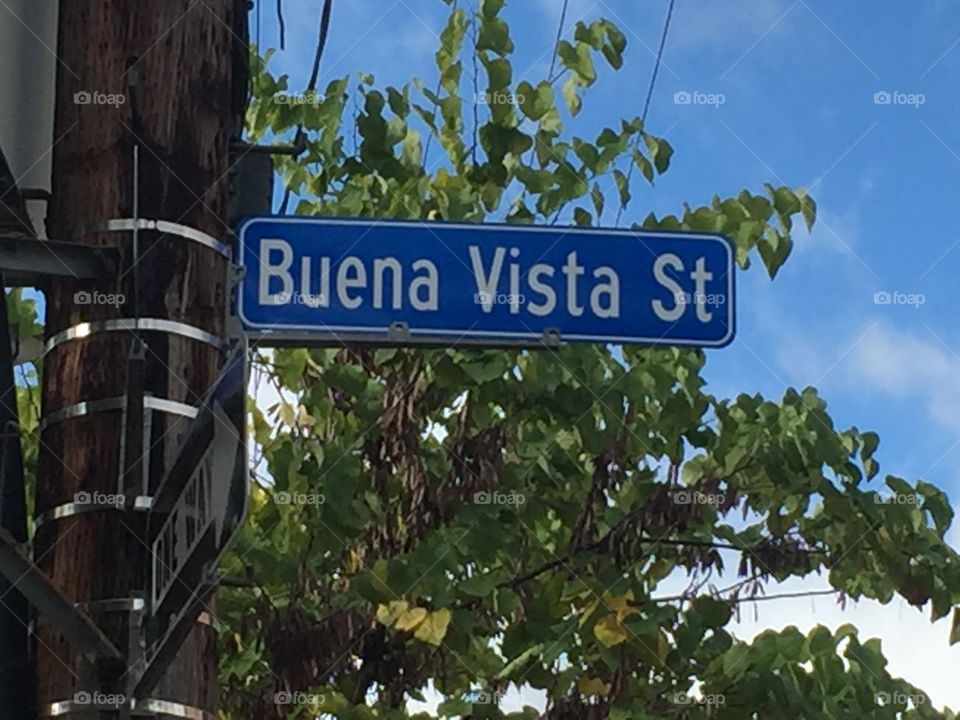 Buena Vista St
