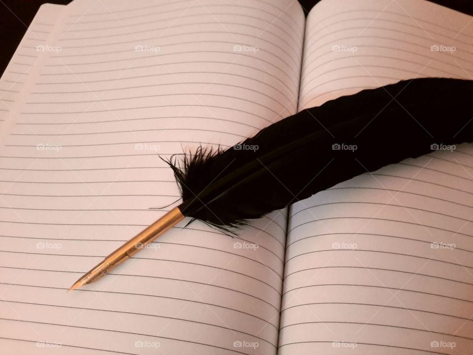 blank page. blank page