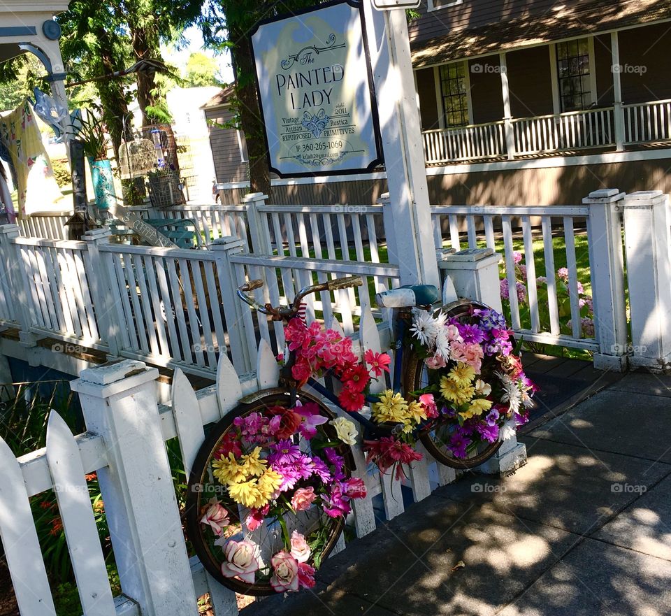 Store Front - Antiques, Port Gamble, WA 