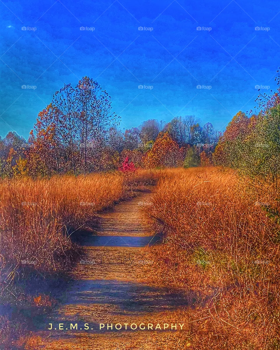 Fall 