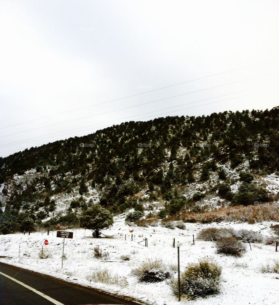 Mountain side view in Colorado 