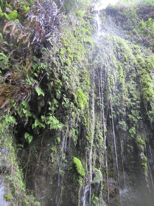maui hawaii usa waterfall maui road to hana by Ryegirl64