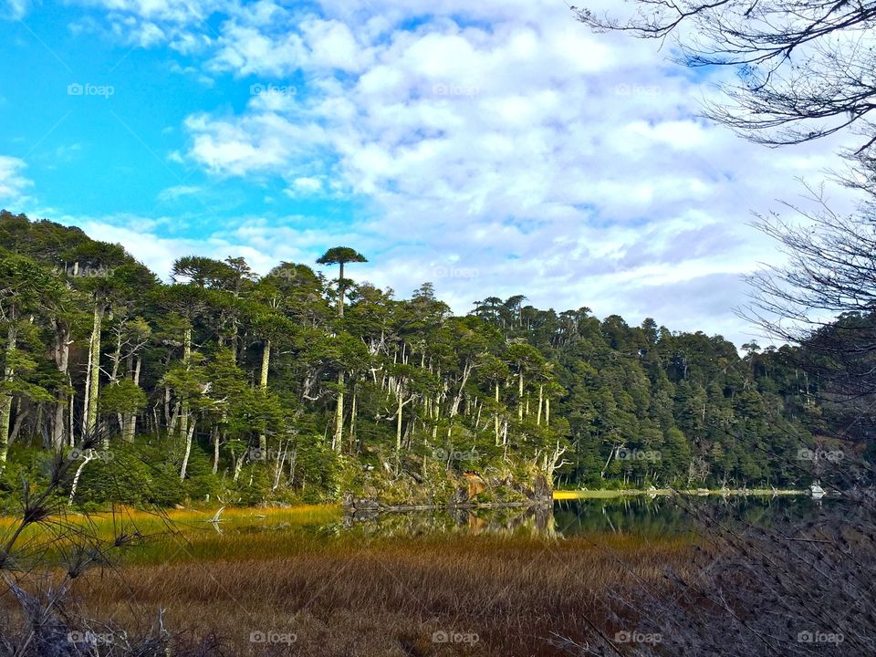 Hiking in southern Chile 