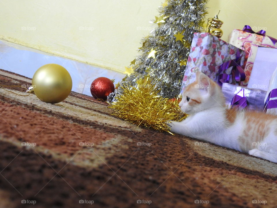 A second to rest by the gifts