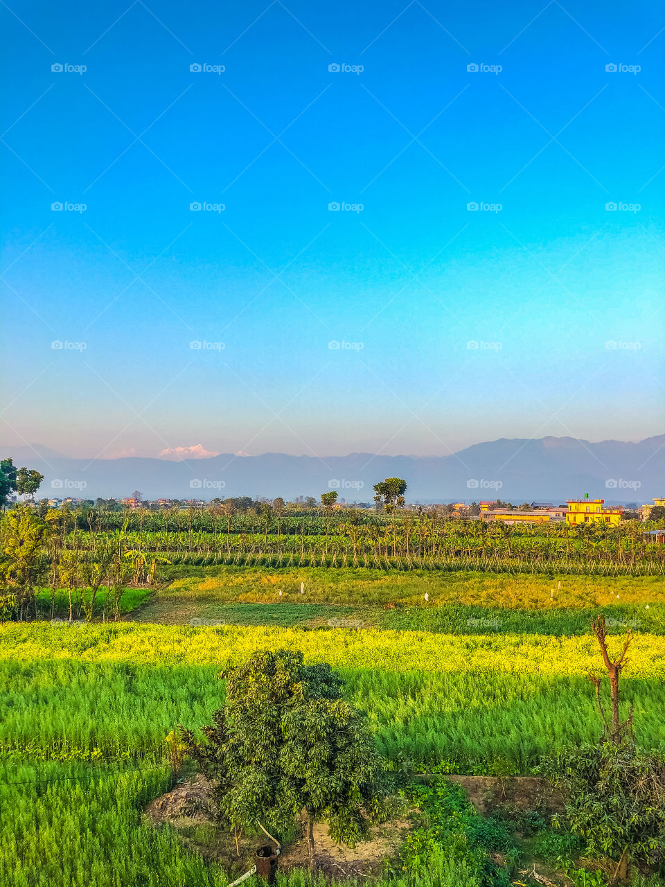 Mountain and Nature what a view 