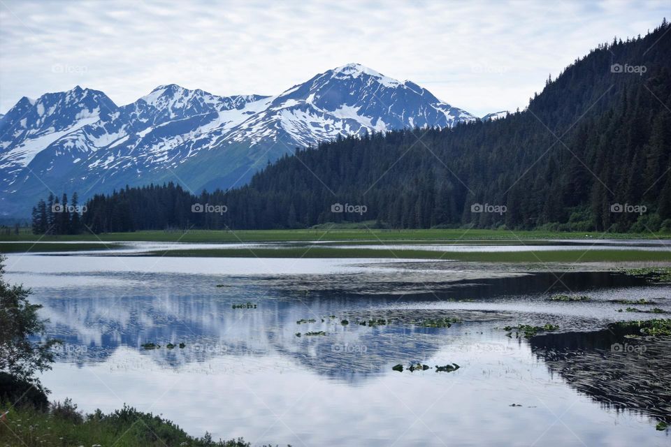 A calm lake outside of Anchorage Alaska provides a perfect reflection of a nearby mountain range