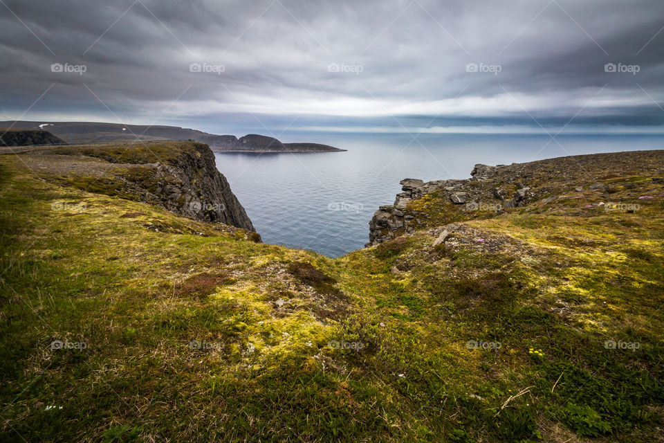 Nature near the Arctic Circle 