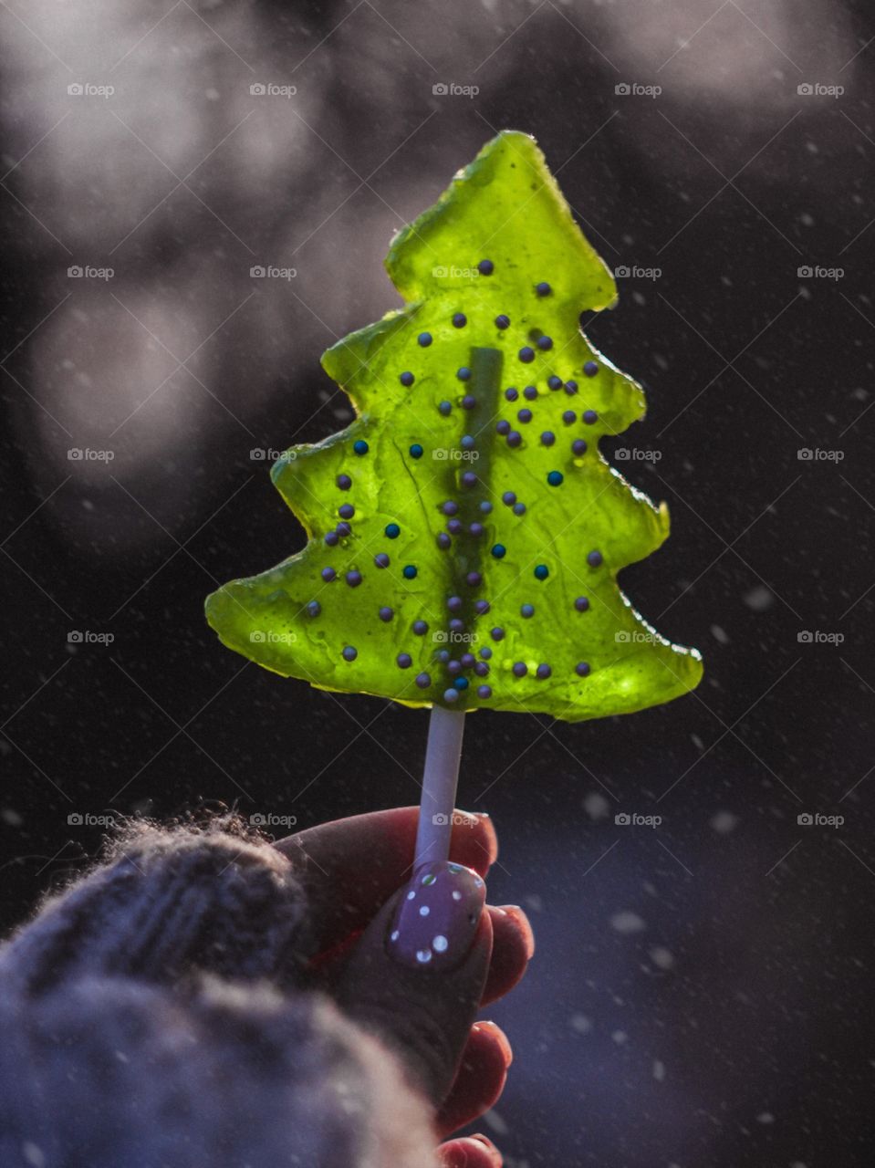 Female hand holding christmas tree shaped lollypop
