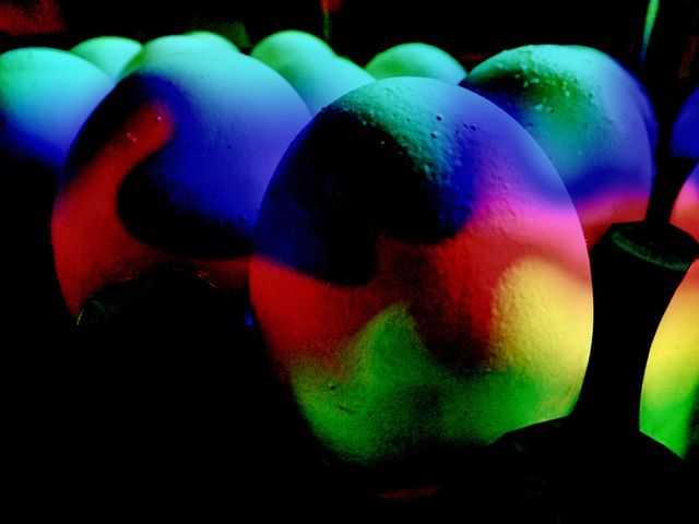 colored eggs